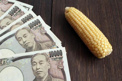 とうもろこしと一万円札 とうもろこしと一万円札 とうもろこし,一万円札,農産物の写真素材