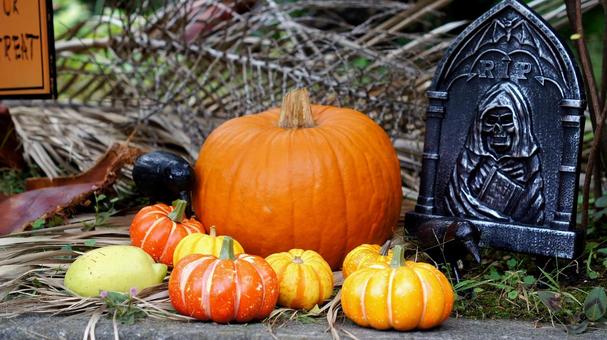 ハロウィン-254 ハロウィン,かぼちゃ,オレンジ色の写真素材