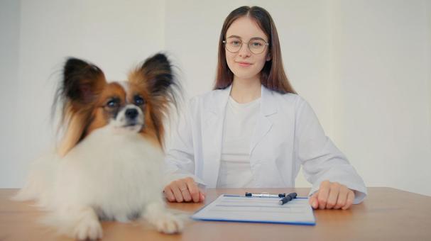 ペットを見て笑顔の女性 医療,予防,医者の写真素材