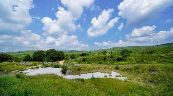 カルスト台地の光景 カルスト台地の光景の写真