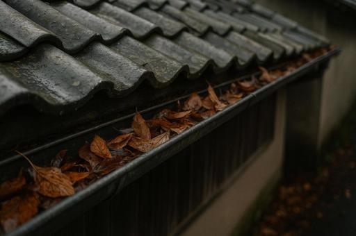 落ち葉の詰まった雨樋 落ち葉の詰まった雨樋の写真