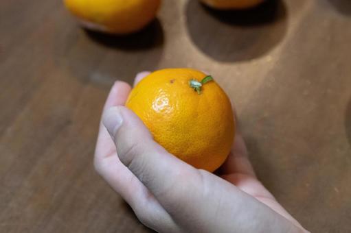 手に持つ新鮮なみかんのアップ みかん,手,柑橘類の写真素材