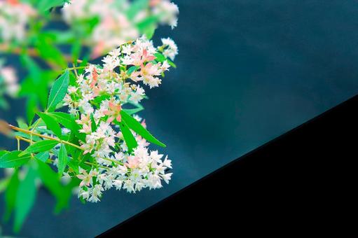 花模様ー季節の花 花模様ー季節の花の写真