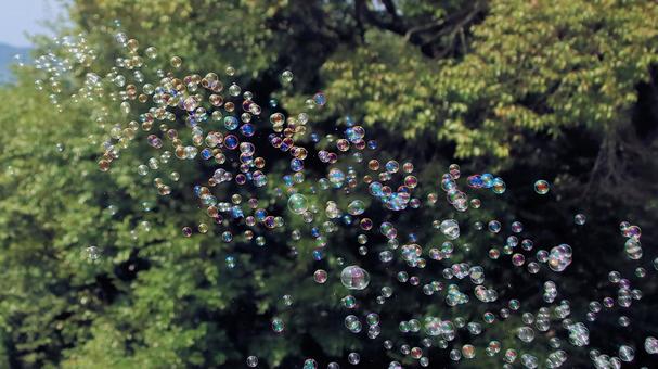 夏休みの公園で沢山のシャボン玉飛んだ シャボン玉,夏休み,しゃぼん玉の写真素材