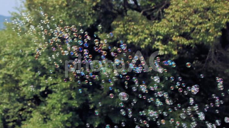 夏休みの公園で沢山のシャボン玉飛んだ シャボン玉,夏休み,しゃぼん玉の写真素材