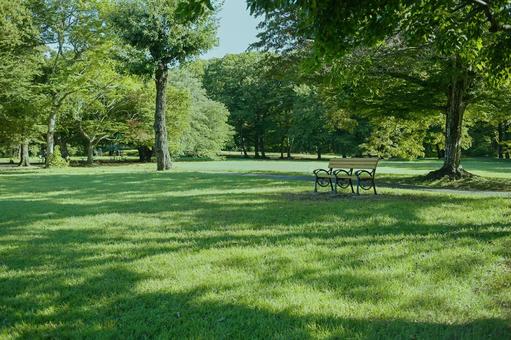 緑の公園 ベンチ 緑の公園 ベンチ ベンチ,椅子,座るの写真素材