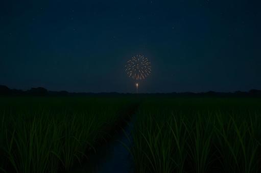 夜空を彩る田んぼの花火 夜空を彩る田んぼの花火の写真