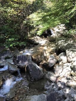 滝 滝の写真