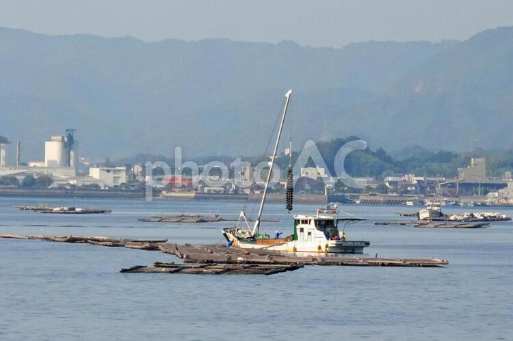 流木に囲まれた浚渫船 浚渫船,作業,河川や港湾の写真素材