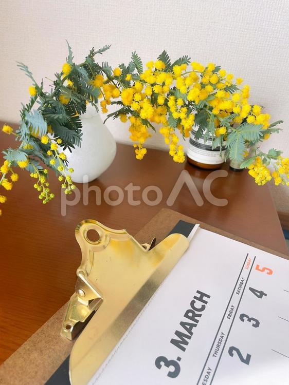 ミモザの飾られたデスク　3月のカレンダー ミモザ,花瓶,mimosaの写真素材