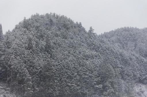 初雪の景色 初雪の景色 冬,寒い,雪の写真素材