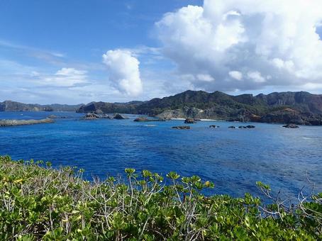小笠原の南島の景色 小笠原の南島の景色 小笠原,南島,小笠原南島の写真素材