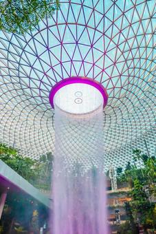 【シンガポール】ジュエル チャンギ空港 シンガポール,ジュエル,チャンギ空港の写真素材