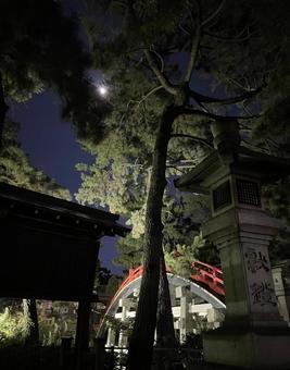 住吉大社 反橋 太鼓橋 神社 住吉大社 反橋 太鼓橋 神社 住吉大社,反橋,太鼓橋の写真素材