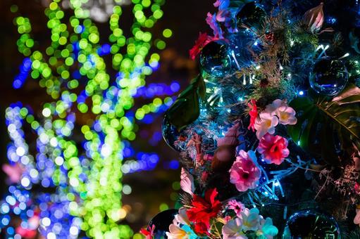 クリスマスツリーとイルミネーション クリスマスツリー,イルミネーション,ライトアップの写真素材