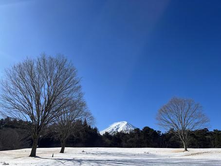 冬景色の中の富士山 01 富士山,mt.fuji,山の写真素材
