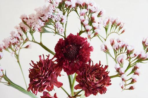 赤系の花束 赤系の花束 ばら,スプレーばら,赤の写真素材