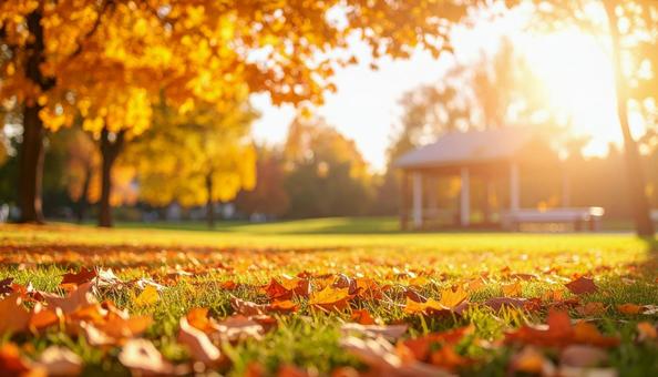 秋のイメージの背景画像 紅葉 野原 公園 秋のイメージの背景画像 紅葉 野原 公園の写真