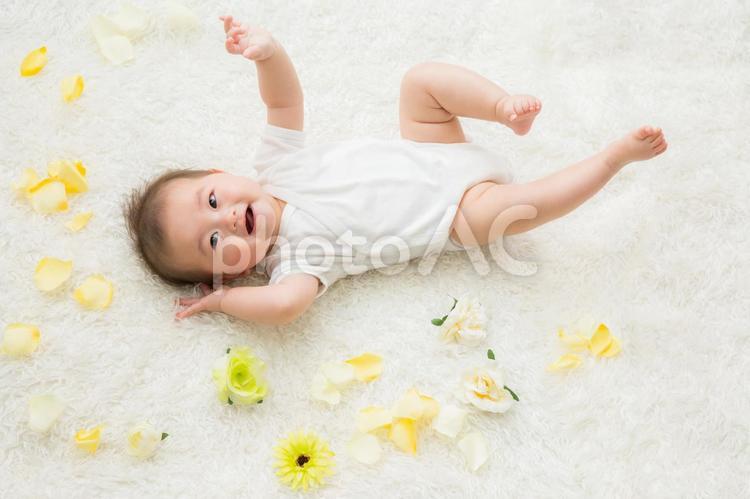 花びらと赤ちゃん（笑顔） 赤ちゃん,花,笑顔の写真素材