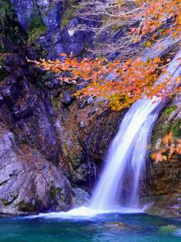 アメガエリの滝と紅葉 高知,高知県,瀬戸川渓谷の写真素材