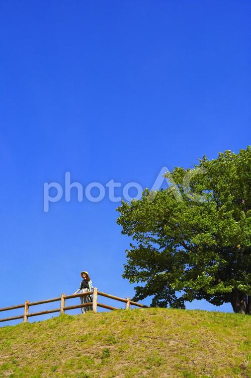 青空と木と女性 人物,女性,ポートレートの写真素材