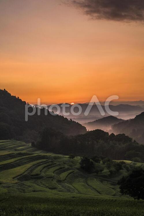 千葉大山千枚田の美しい日の出 千葉,鴨川市,大山千枚田の写真素材