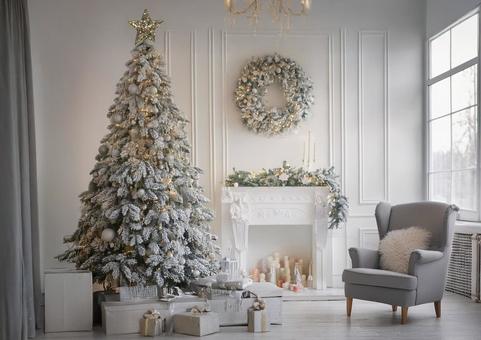 クリスマスツリーとプレゼント クリスマスツリーとプレゼントの写真