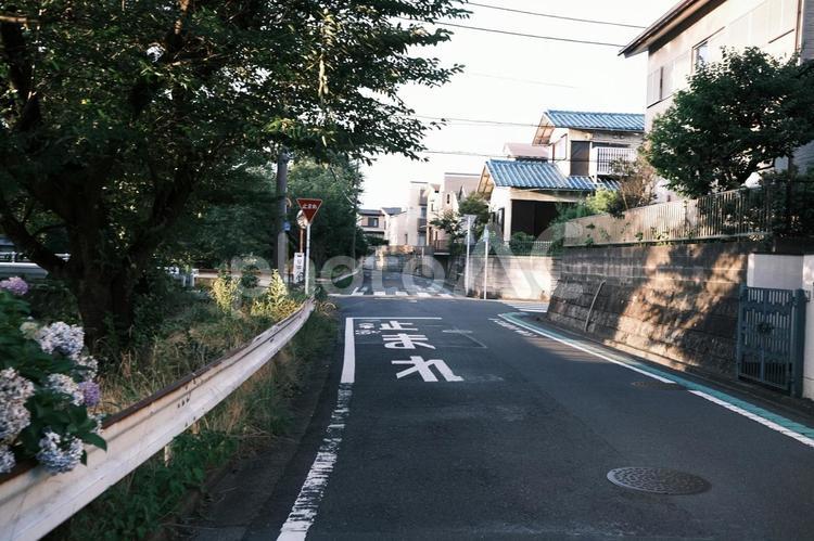 夕暮れの街並み 夕暮れ,夜景,神奈川の写真素材