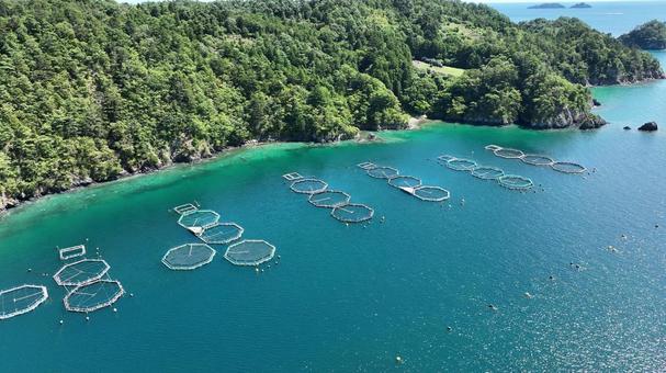 出島漁港周辺の海 出島漁港周辺の海の写真