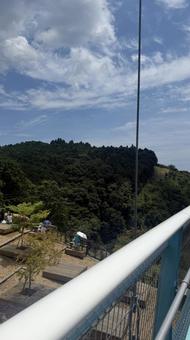 三島市の吊り橋3 三島市の吊り橋3 三島市,三島,橋の写真素材