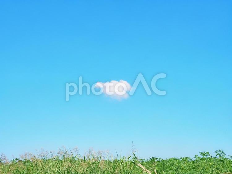 青空と雲と緑 夏,青空,緑の写真素材