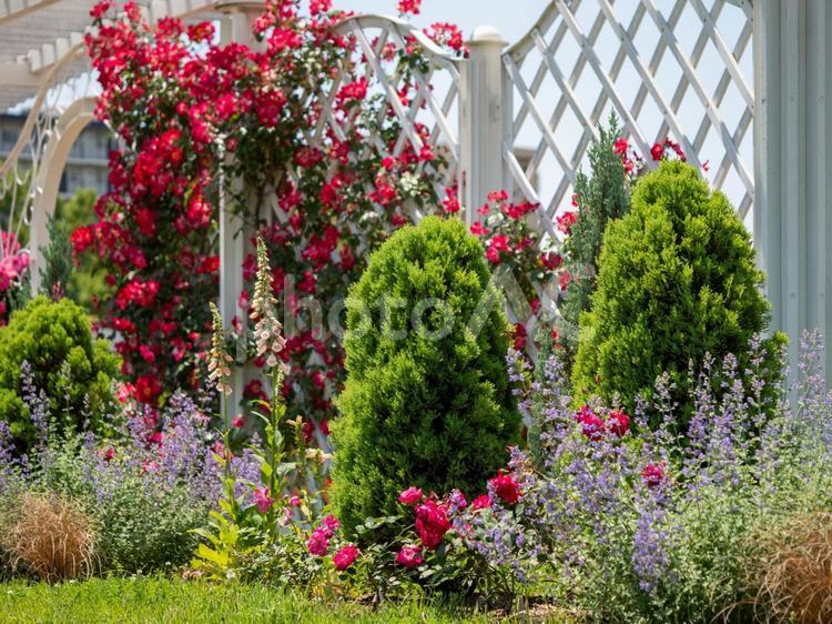 カラフルな花の咲く植物園の風景 花,花々,カラフルの写真素材