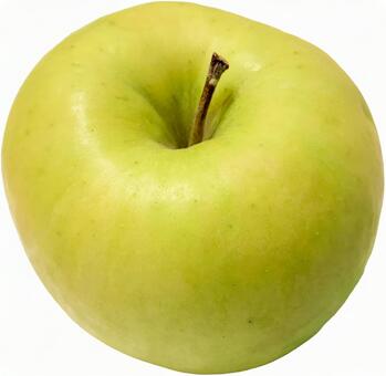 群馬名月の黄色いリンゴ 群馬名月,りんご,psdの写真素材