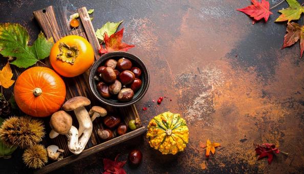 秋の味覚　 食材　 俯瞰の写真