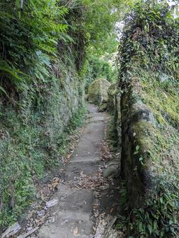 鋸山より 山道,木々,自然の写真素材
