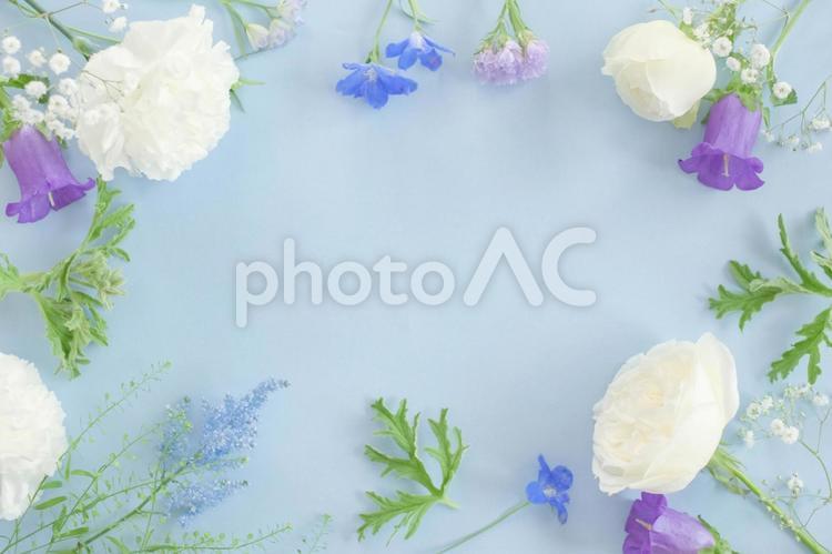 涼しげな夏の花フレーム素材 花,植物,フレームの写真素材