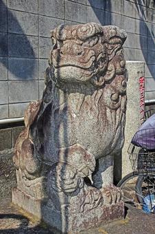 駒込日枝神社(豊島) 駒込日枝神社(豊島)の写真