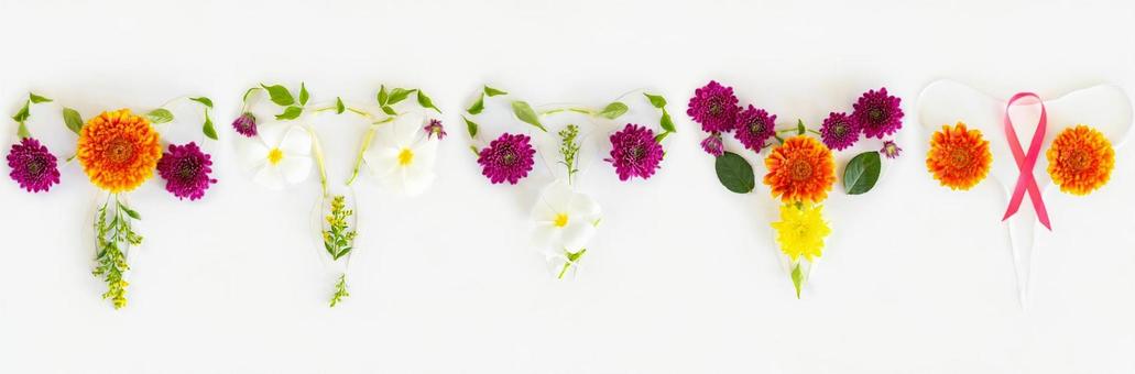 花と葉でできた子宮を並べる 生理,月経,子宮の写真素材