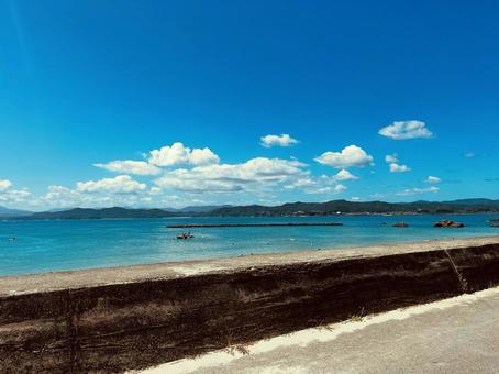 夏の海辺 夏の海辺の写真