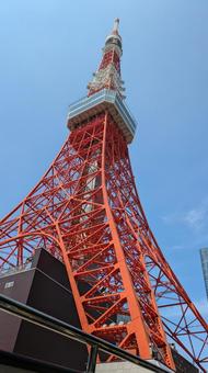 東京都港区 東京タワー 青空 東京都港区 東京タワー 青空の写真