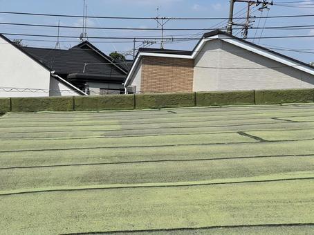 屋上のシート防水 屋根,防水,雨漏りの写真素材