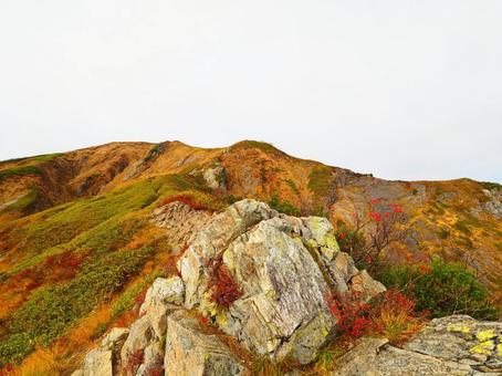 紅葉(越後三山・越後駒ヶ岳) 紅葉(越後三山・越後駒ヶ岳) 紅葉,秋,10月の写真素材