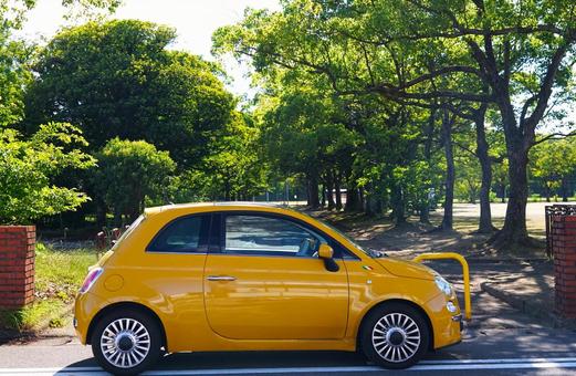 公園の前のイタ車 公園の前のイタ車 車,外車,輸入車の写真素材