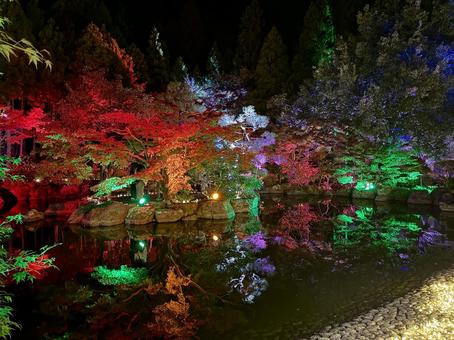越前陶芸村　陶あかり　福井県陶芸館 福井,越前市,伝統工芸の写真素材