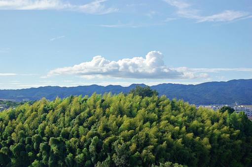 大阪北摂の夏の風景 大阪北摂の夏の風景 北摂,吹田市,竹林の写真素材