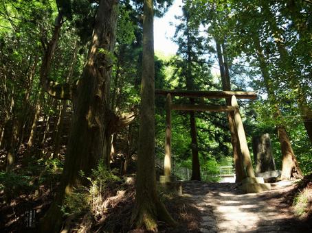 御岳山　神苑の森入口 御岳山,神苑の森,御嶽神社の写真素材