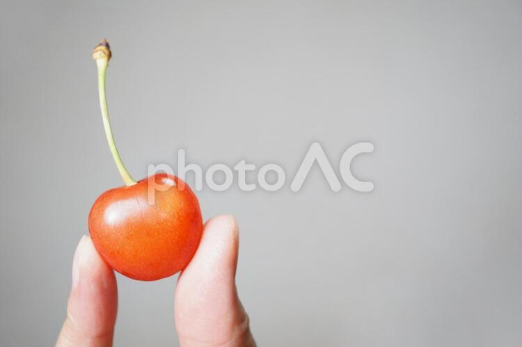 さくらんぼと指 さくらんぼ,チェリー,赤の写真素材
