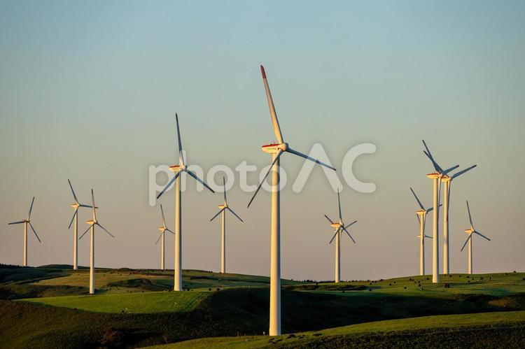 朝日を浴びる風力タービン群 風力発電,エコロジー,プロペラの写真素材