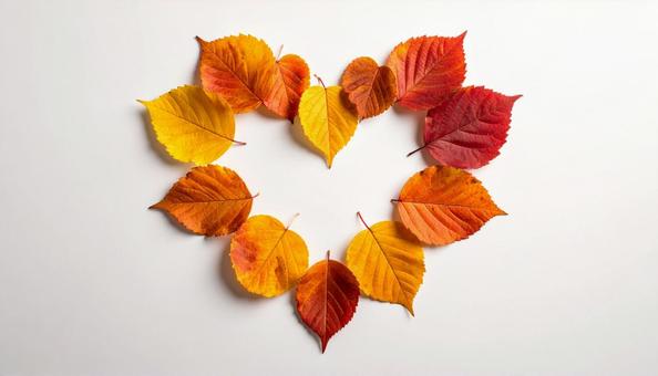 ハートの形の紅葉した落ち葉 ハートの形の紅葉した落ち葉の写真