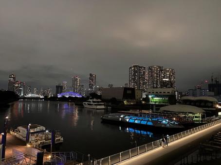 夜の東京と海 夜の東京と海 東京湾,浜離宮,竹芝の写真素材